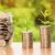 Comment apporter en compte courant dans une SCI