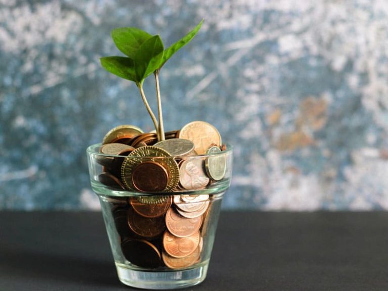 Tout savoir sur le capital minimum d’une SARL
