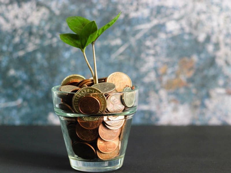 Tout savoir sur le capital minimum d’une SARL