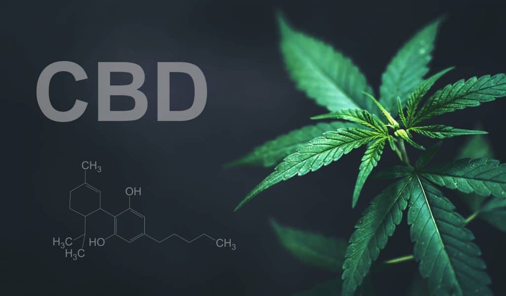 Choisir grossiste CBD shop