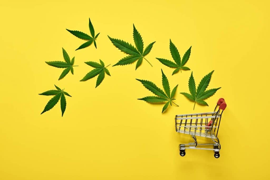 business cbd législation