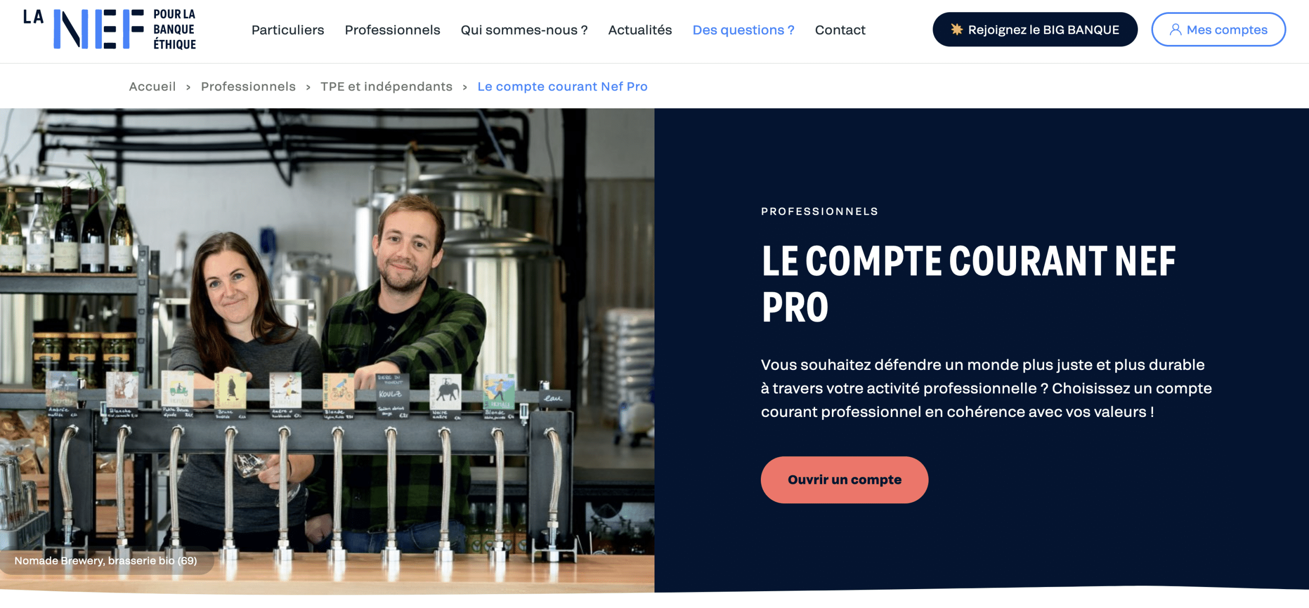 Nef pro